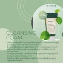 JM Solution Calming Cica Foam