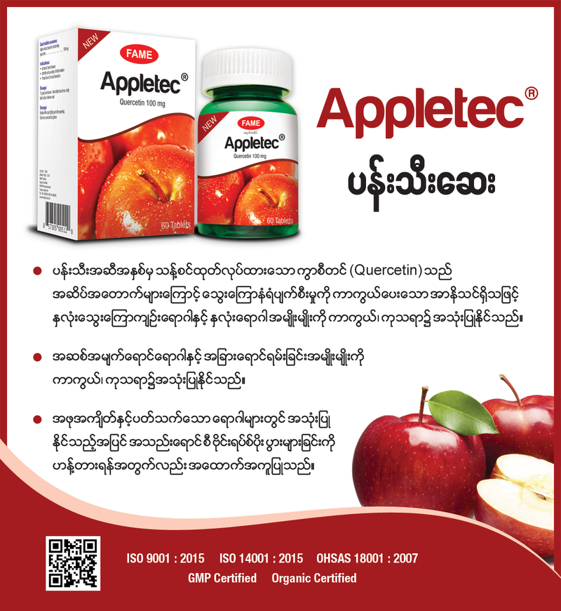 Fame Appletec (ပန်သီးဆေး)