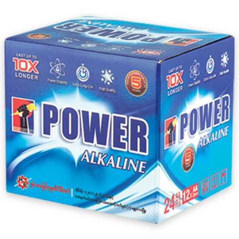 Power Alkaline AA-BP2-Card Box (1 x 24 Pcs)