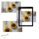 My kind of Sunflower-2 (with clay)