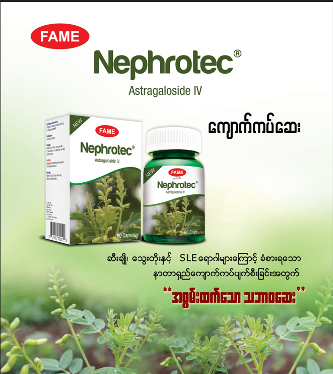 Fame Nephrotec (ကျောက်ကပ်ဆေး)
