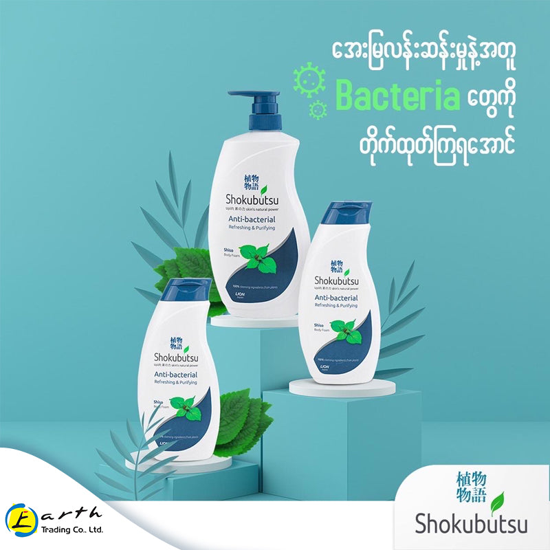 Shokubutsu Anti-Bacterial Body Foam (Refreshing & Purifying) Shiso 200ml