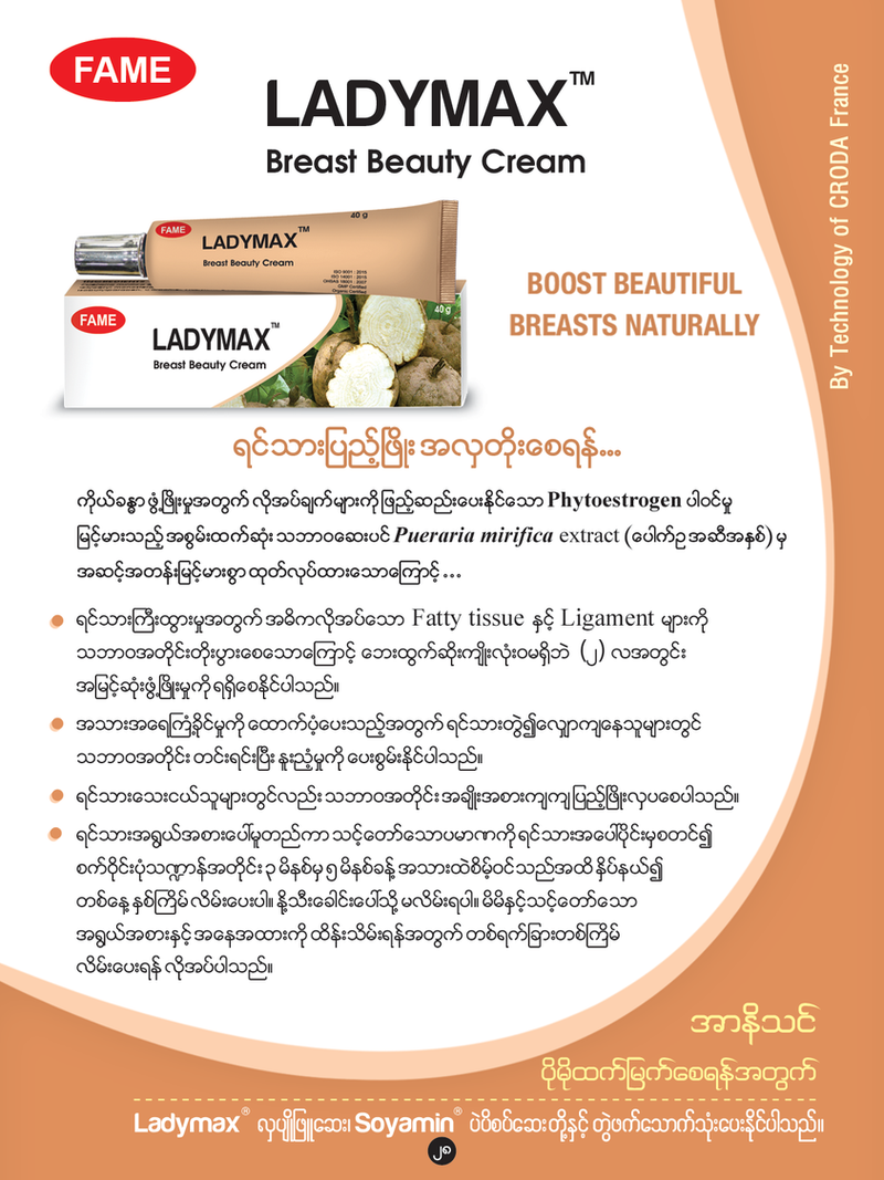 Fame Breast Beauty Cream (ရင်သားလှခရမ်)
