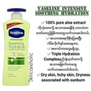Vaseline Body Lotion